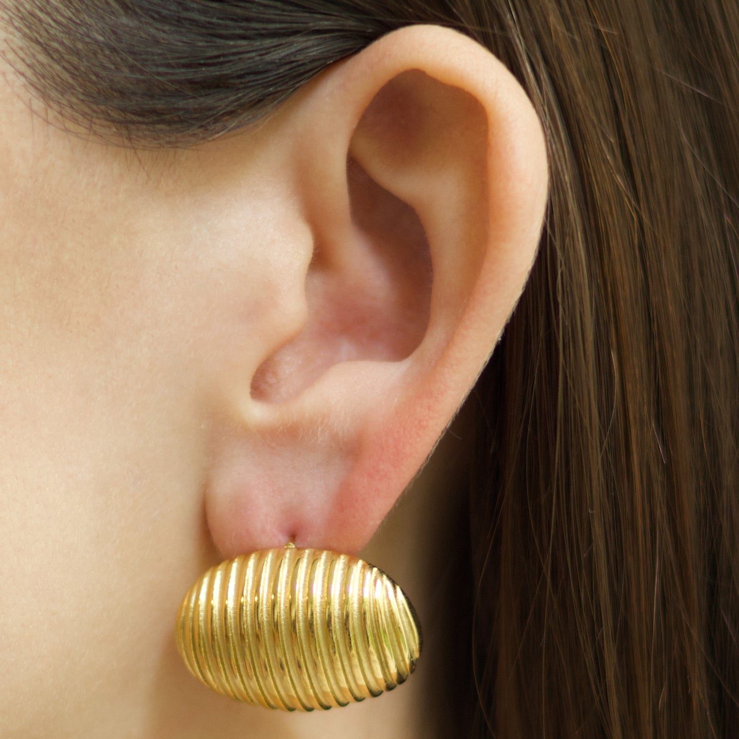 Aretes Concha Dorada Acero Inoxidable LI7