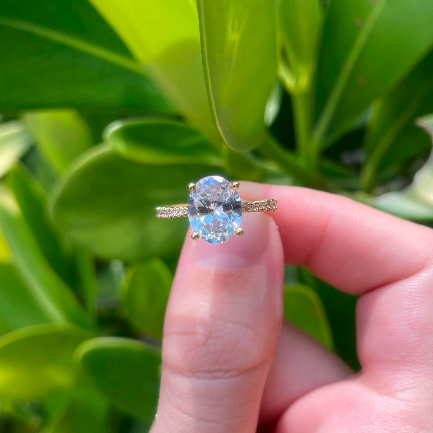 Anillo Dorado Zirconia Blanca Talla 6 Chapa de Oro Az286