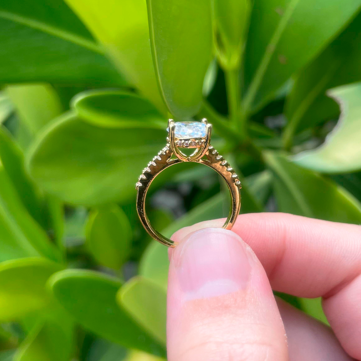 Anillo Dorado Zirconia Blanca Talla 6 Chapa de Oro Az286