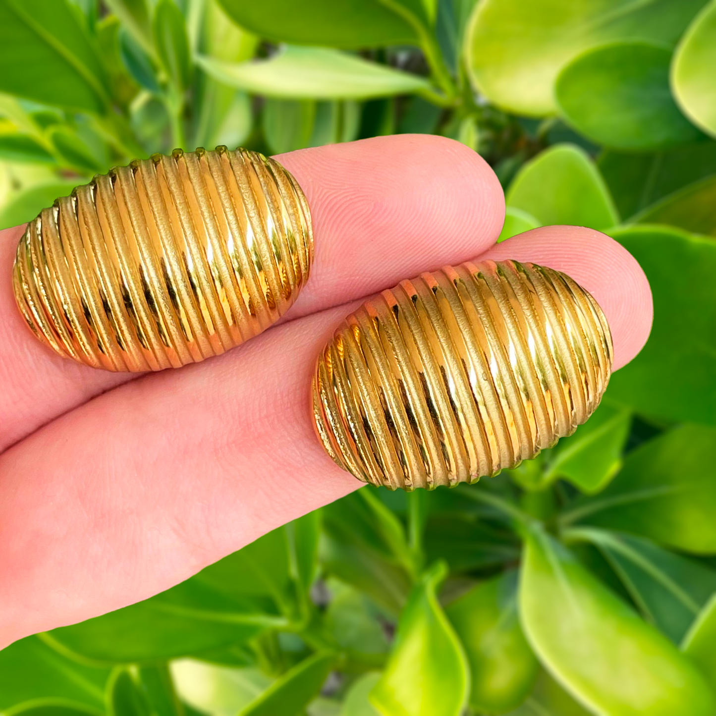 Aretes Concha Dorada Acero Inoxidable LI7