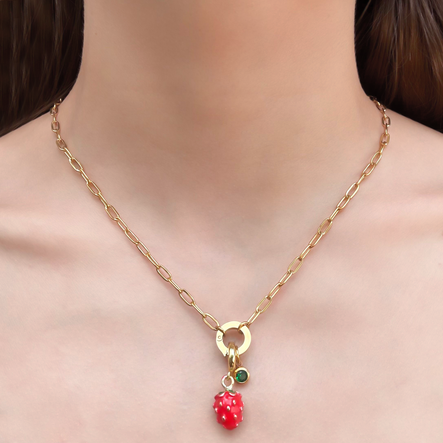 Collar Cadena Dorado Aro con Clip Acero Inoxidable 1Y6