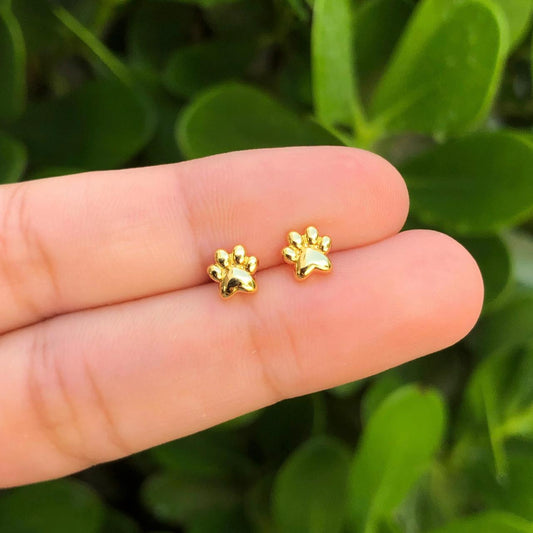 Aretes Huella Puppy Chapa de Oro 18K R736
