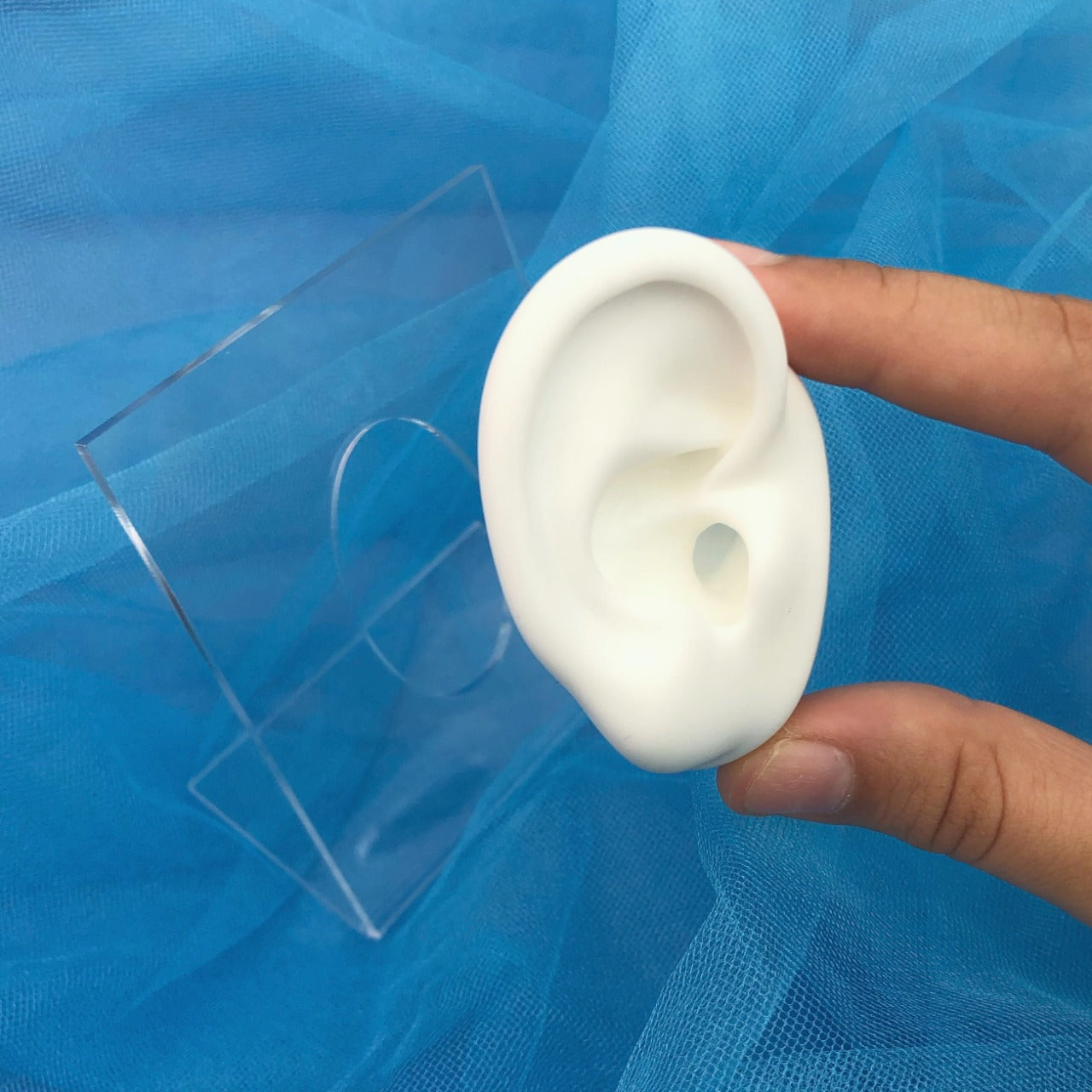 Oreja Izquierda Silicon Blanca 1A7