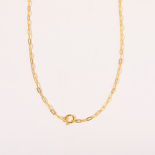 Collar Cadena Dorada Con Aro (Dije)  1T2