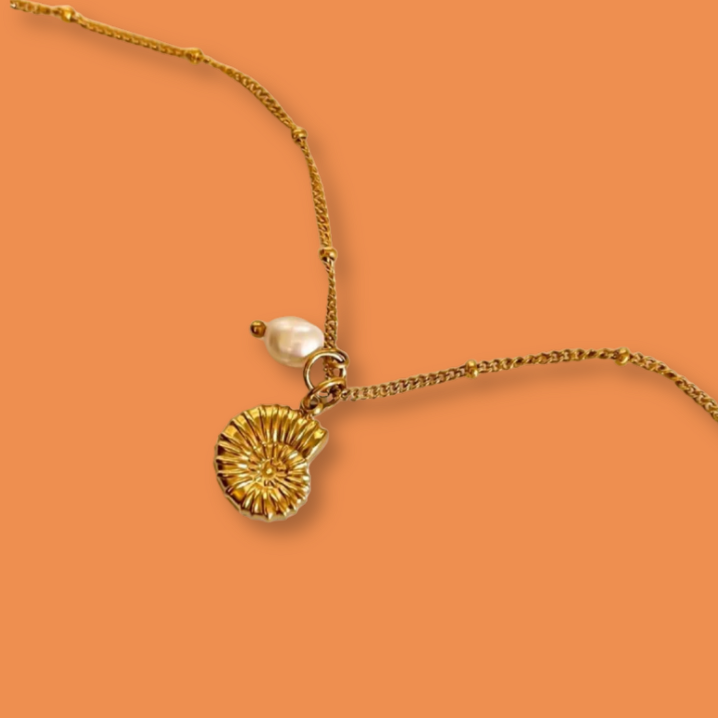 Collar Caracol Perla Acero Inoxidable 2R1