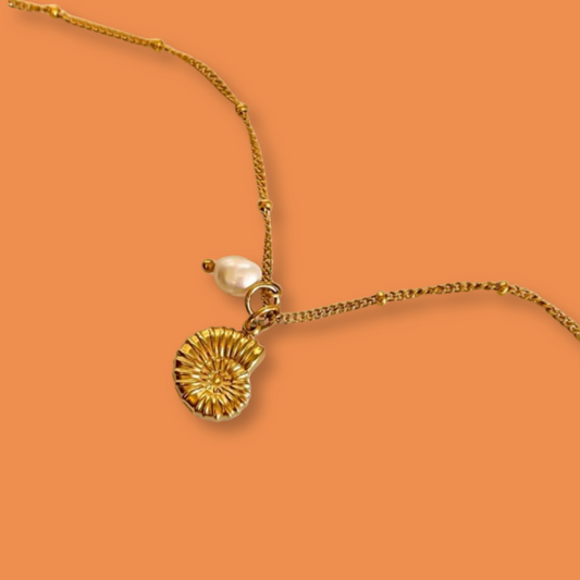 Collar Caracol Perla Acero Inoxidable 2R1