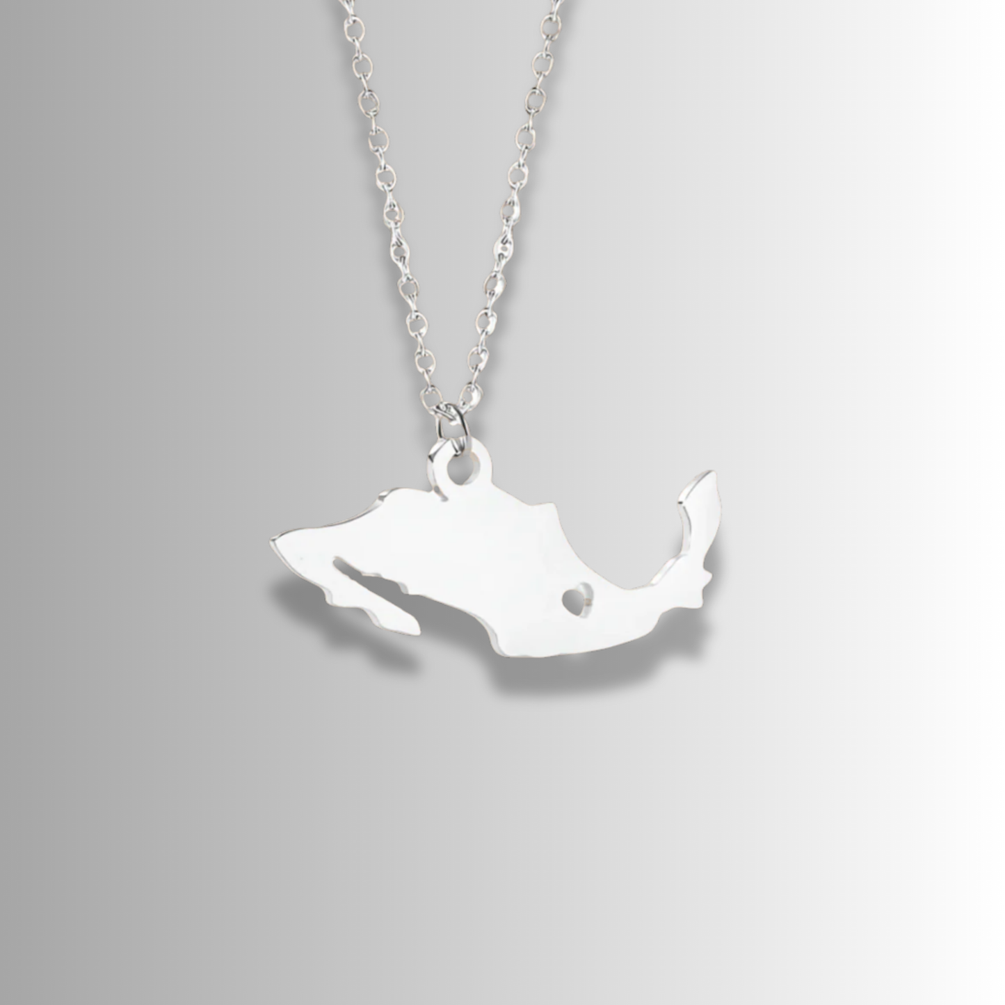 Collar República Mexicana Plateado