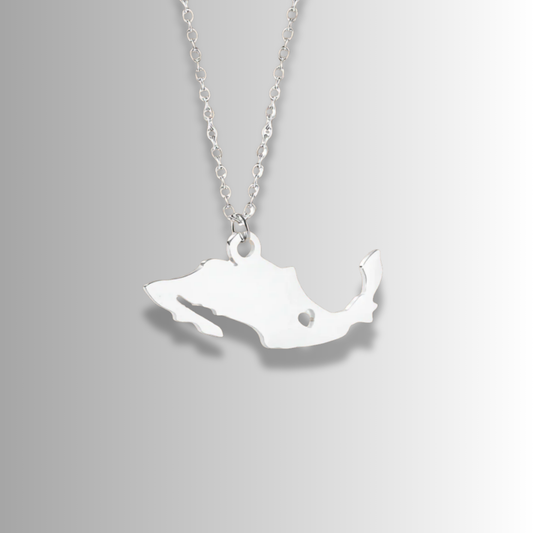 Collar República Mexicana Plateado R711