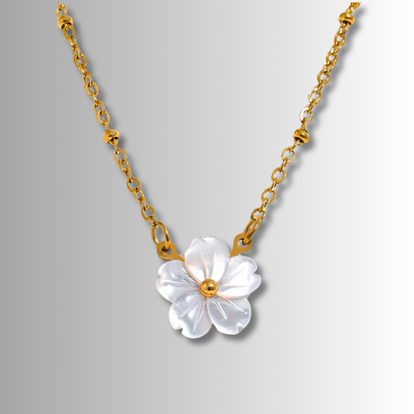 Collar Flor Concha Blanca Acero Inoxidable