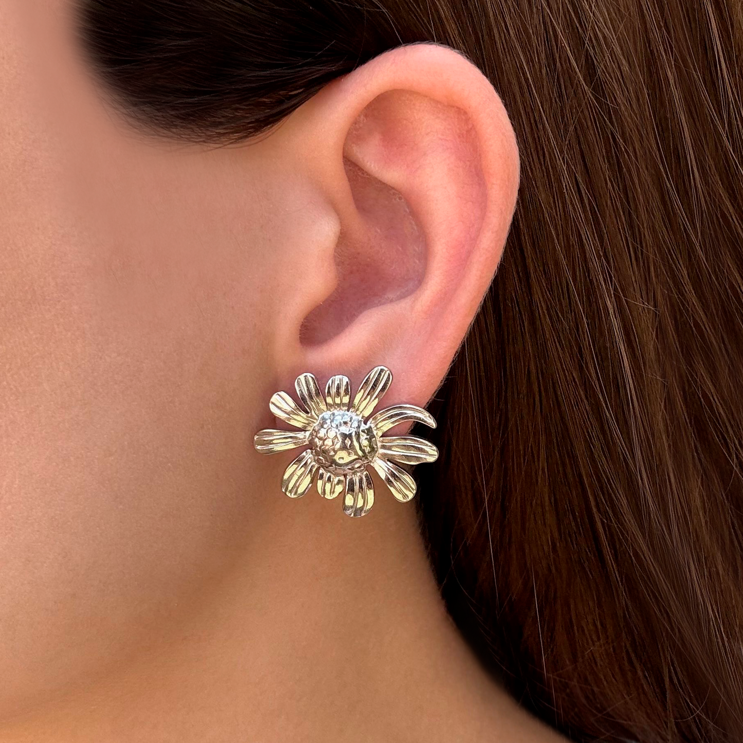 Aretes Plateados Margaritas de Acero  1Q1