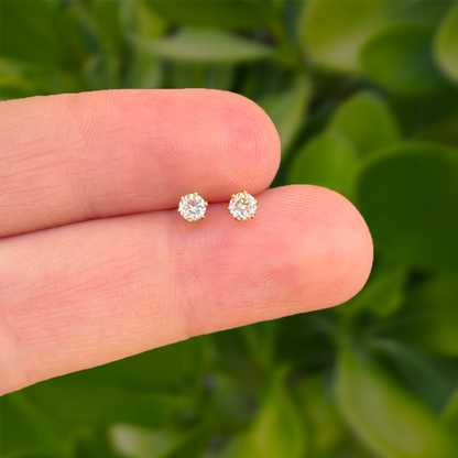 Aretes Dorados Zirconia Básica Acero Inoxidable