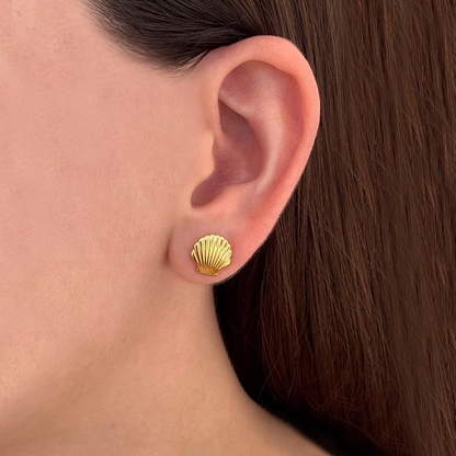 Aretes Dorados Concha de Mar Acero Inoxidable 2U3