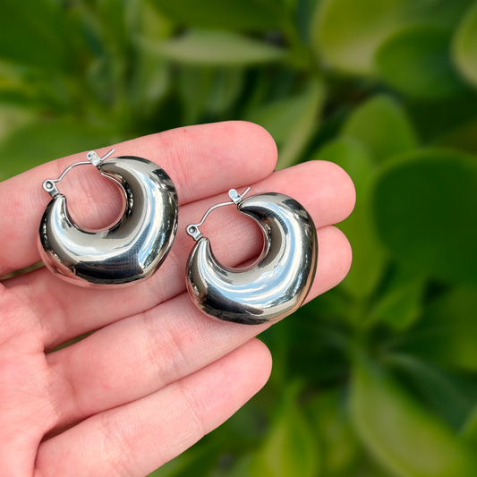 Aretes Arracada Plateada Acero Inoxidable  2T5