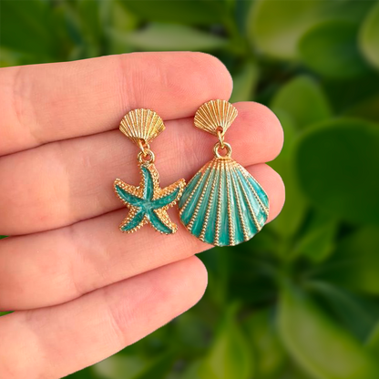 Aretes Concha Estrella Aqua  1Y6