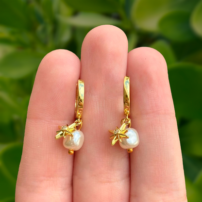 Aretes Arracada Dorada Estrella y Perla Chapa de Oro
