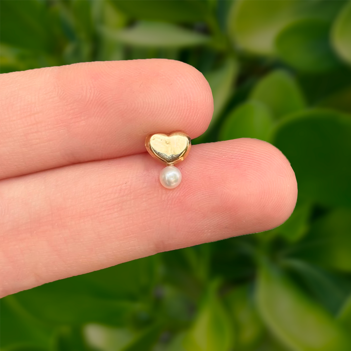 Piercing 1 pz Broquel Oro 10K