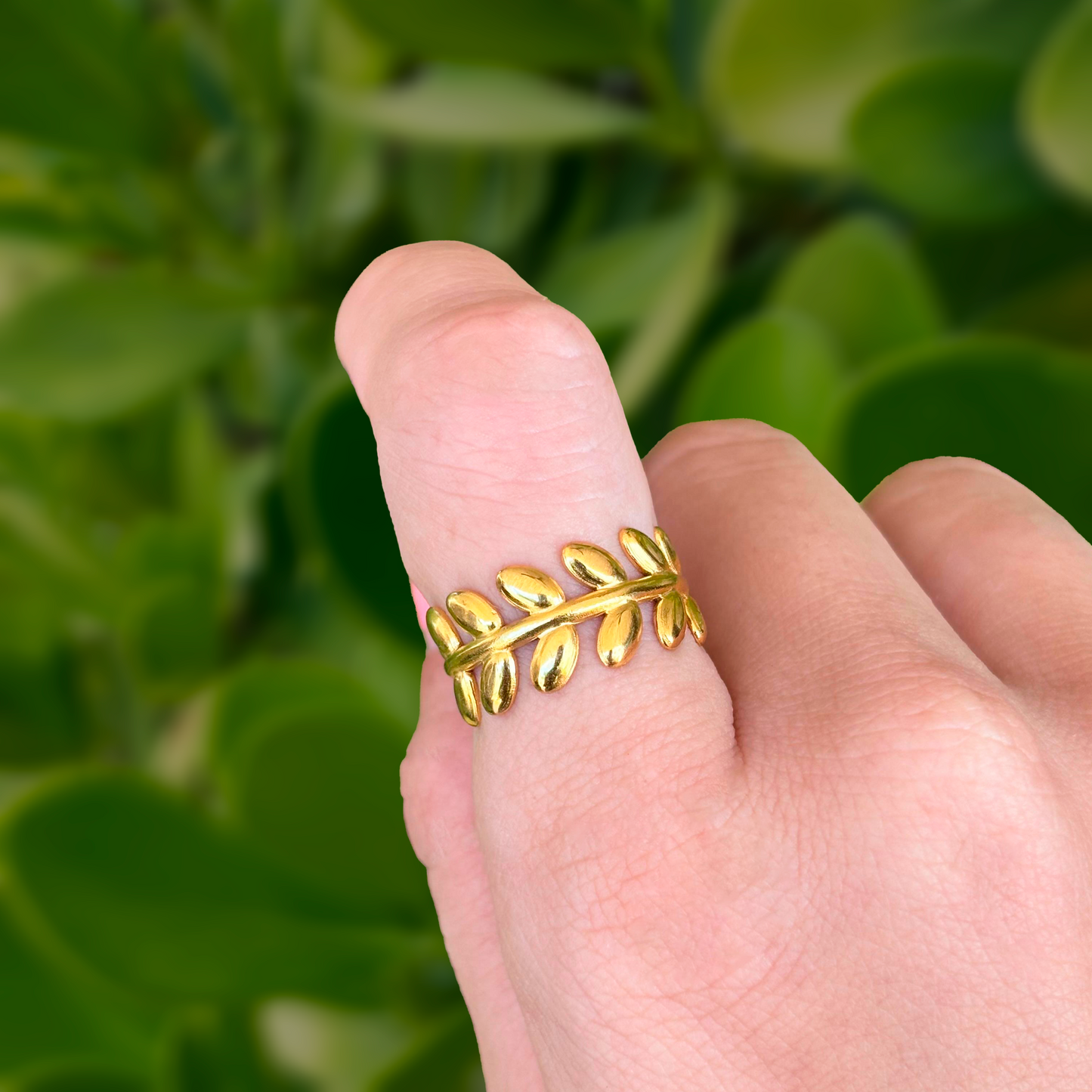 Anillo Laurel Acero Inoxidable 1E1