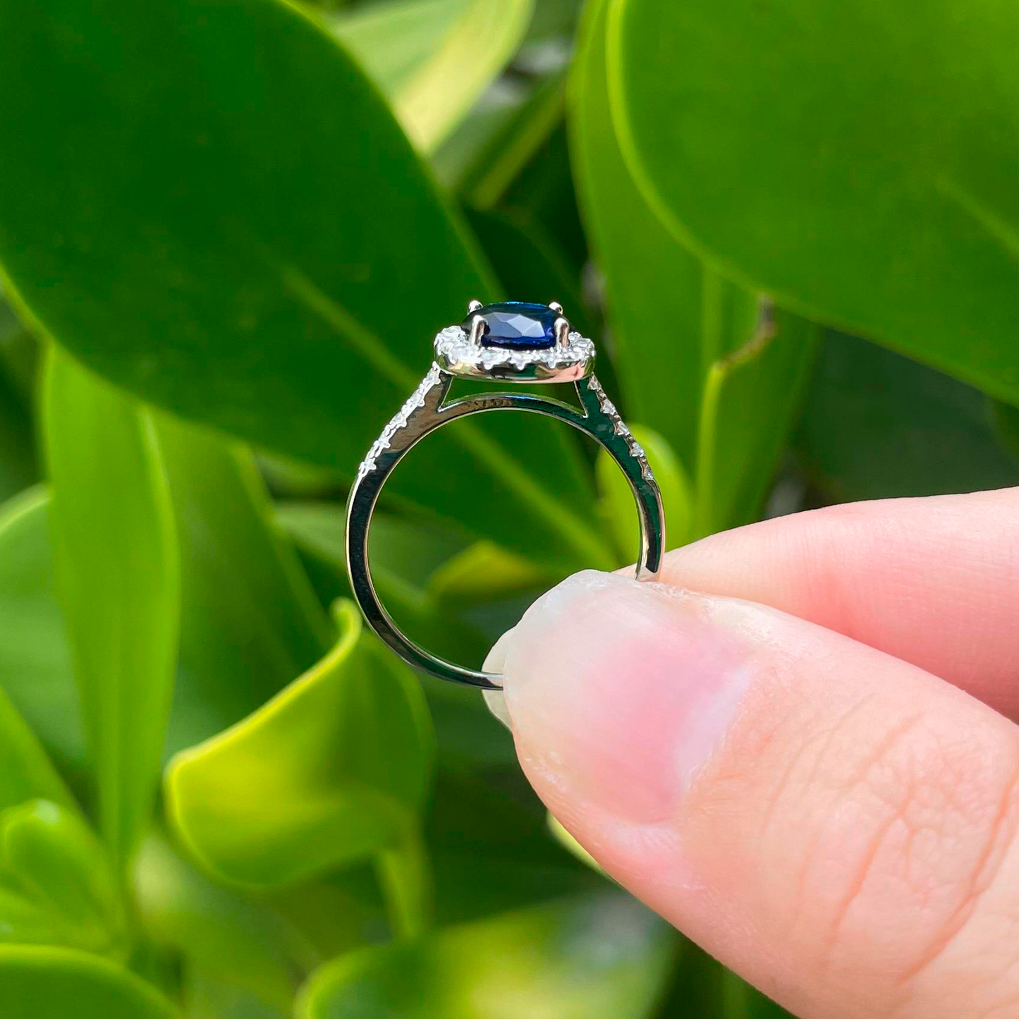 Anillo Plateado Zirconia Azul Chapa de Oro