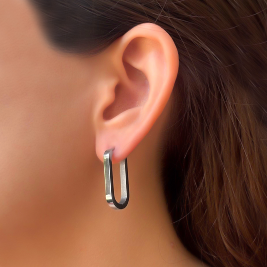 Aretes Arracada Larga Plateada Acero Inoxidable 3J2