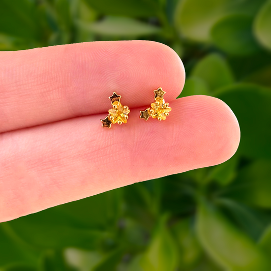Aretes Estrella Chapa de Oro Az209