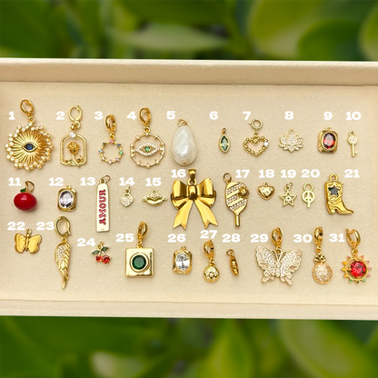 CHARMS