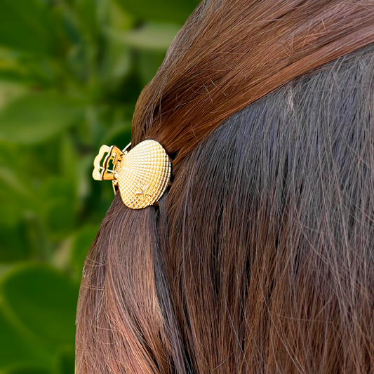 Clip Pinza Concha con Estrella de Mar 2P1