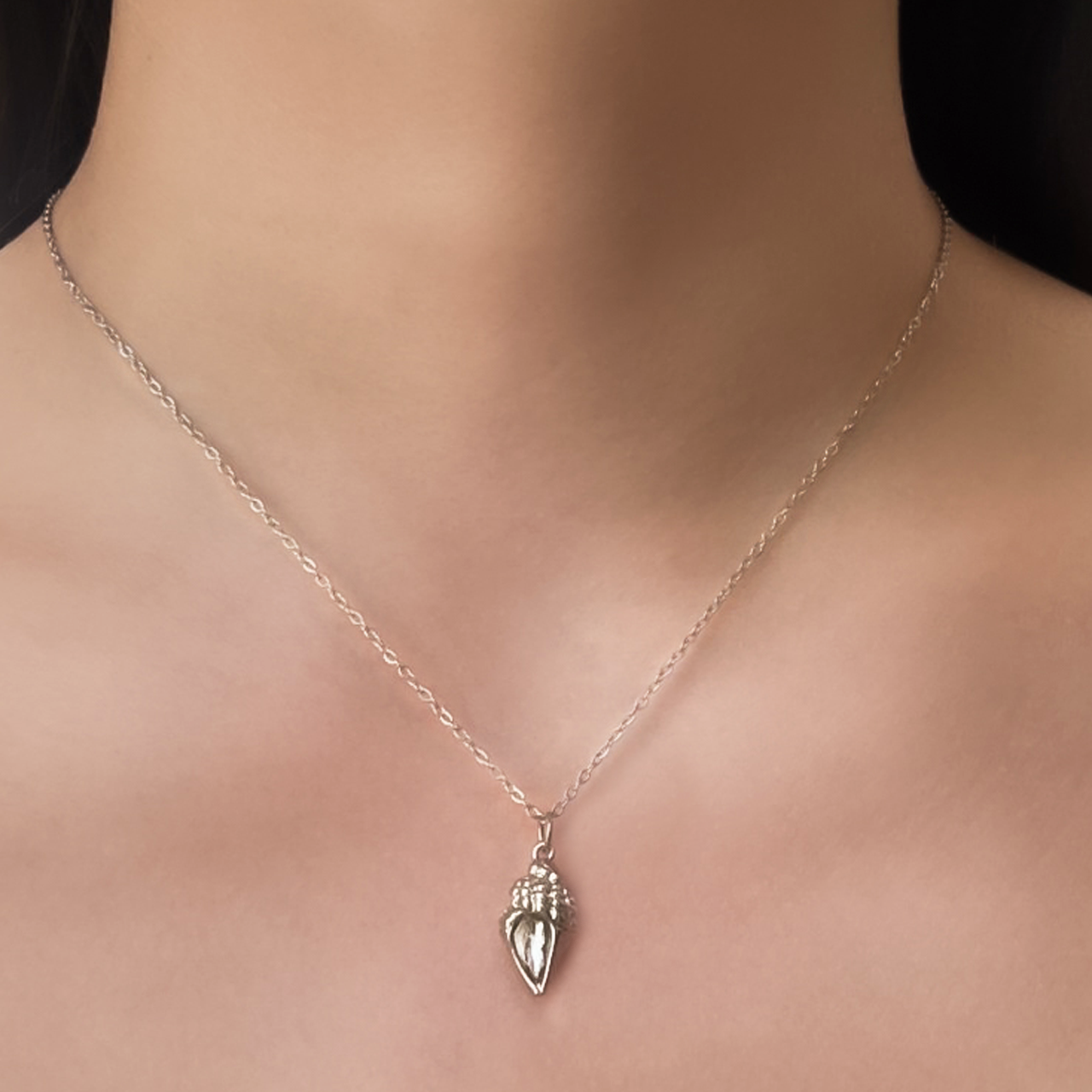 Collar Caracol Plateado   1i5