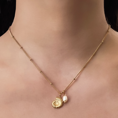 Collar Caracol Perla Acero Inoxidable 2R1