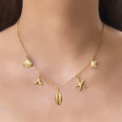 Collar Charms Concha Dorado Acero Inoxidable 1Z2