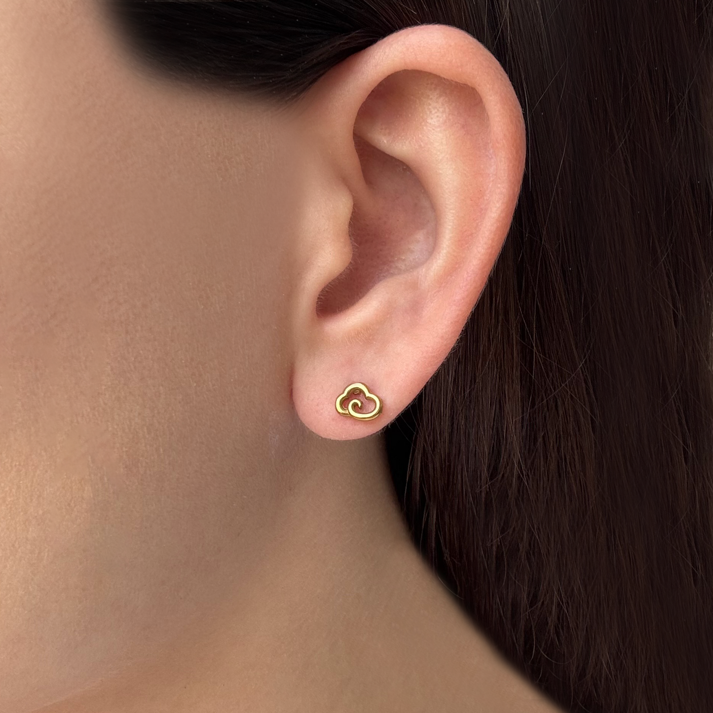 Aretes Dorados 2 Vistas Nube y Zirconia Acero Titanio 1W3