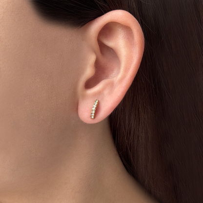 Aretes Dorados 2 Vistas Curvos y Zirconia Acero Titanio 1M5