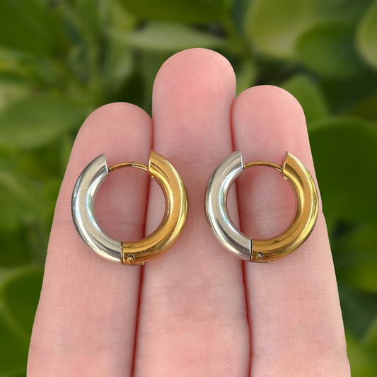 Aretes Oro - Plata Acero Inoxidable 2z1