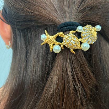 Liga Pelo del Mar Estrella Tortuga Concha R10