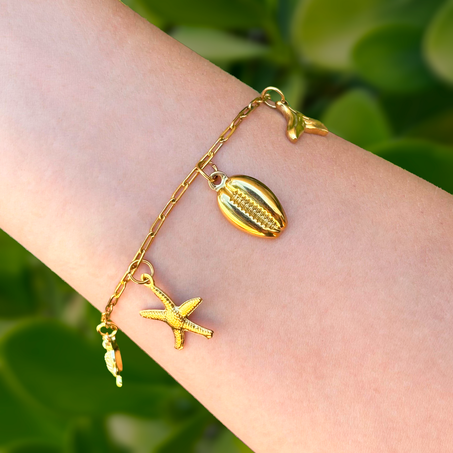 Collar y Pulsera Charms Concha Dorado Acero Inoxidable 1J1