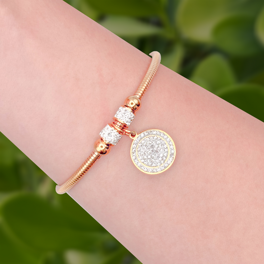 Pulsera Brillante Acero Inoxidable  1P7