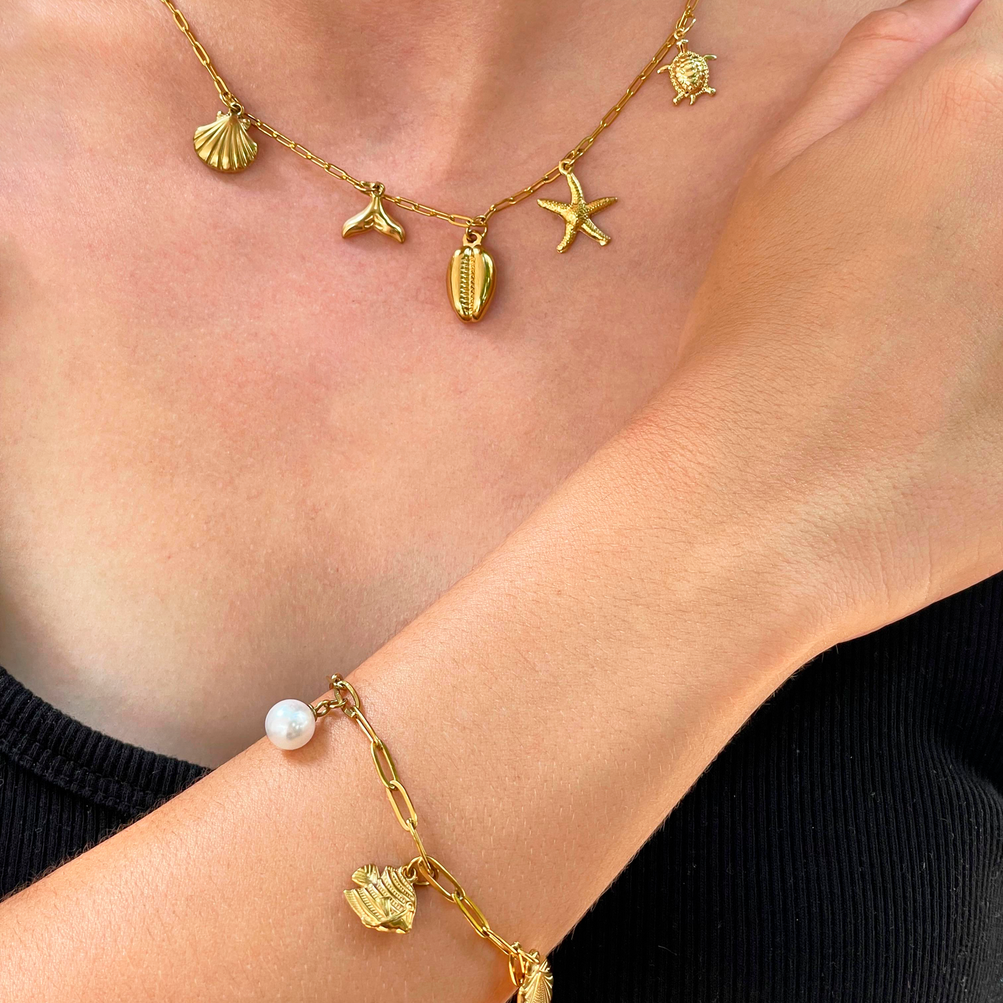 Collar Charms Concha Dorado Acero Inoxidable 1Z2